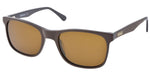 Barbour - Barbour - BIS084 C1 BROWN