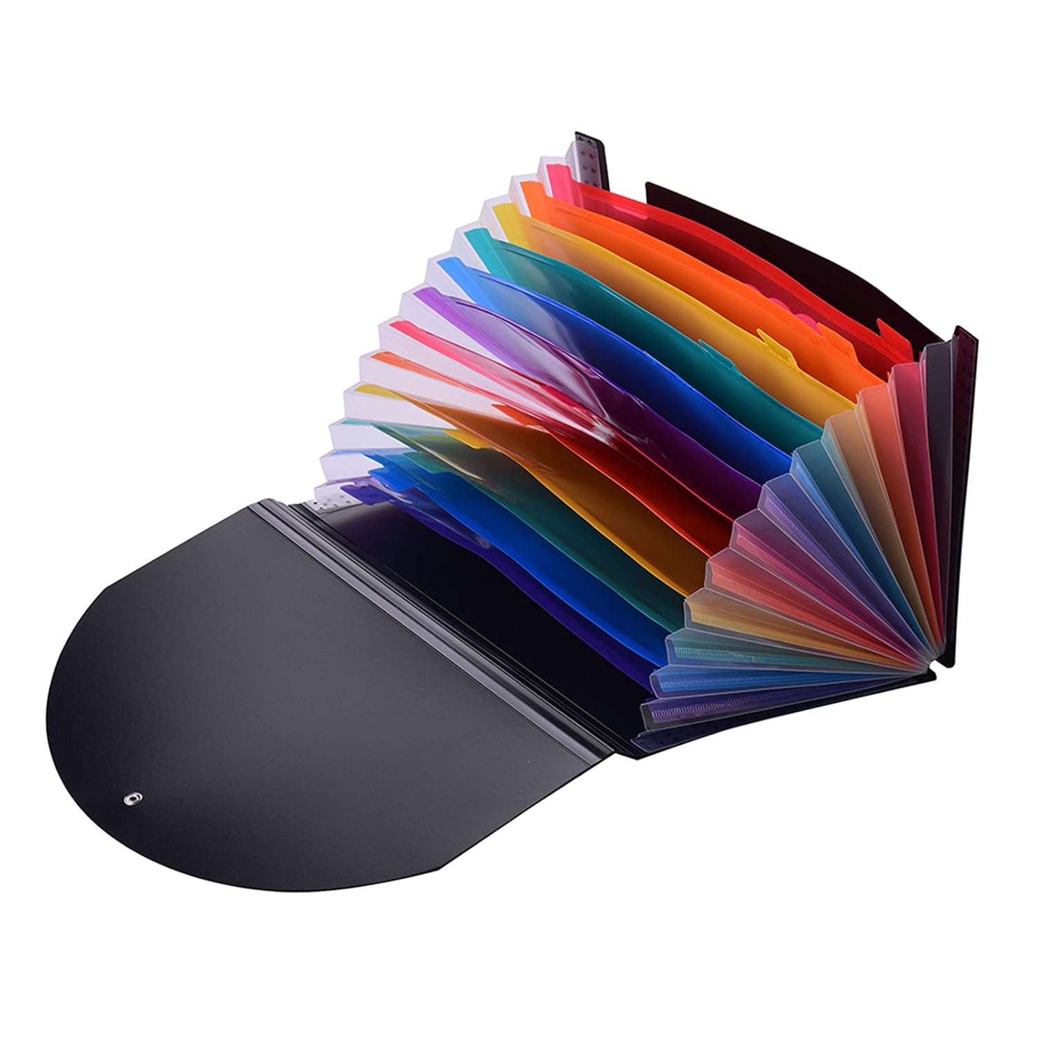 Classic Carbon A4 File Folder with Elastic Belt - 12 Pocket