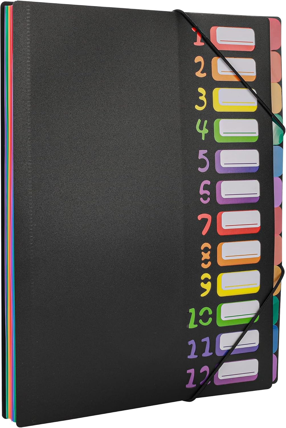24 Pocket, Color Coded A4 File