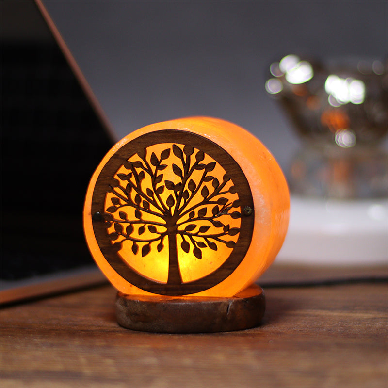 Himalayan Salt Lamp