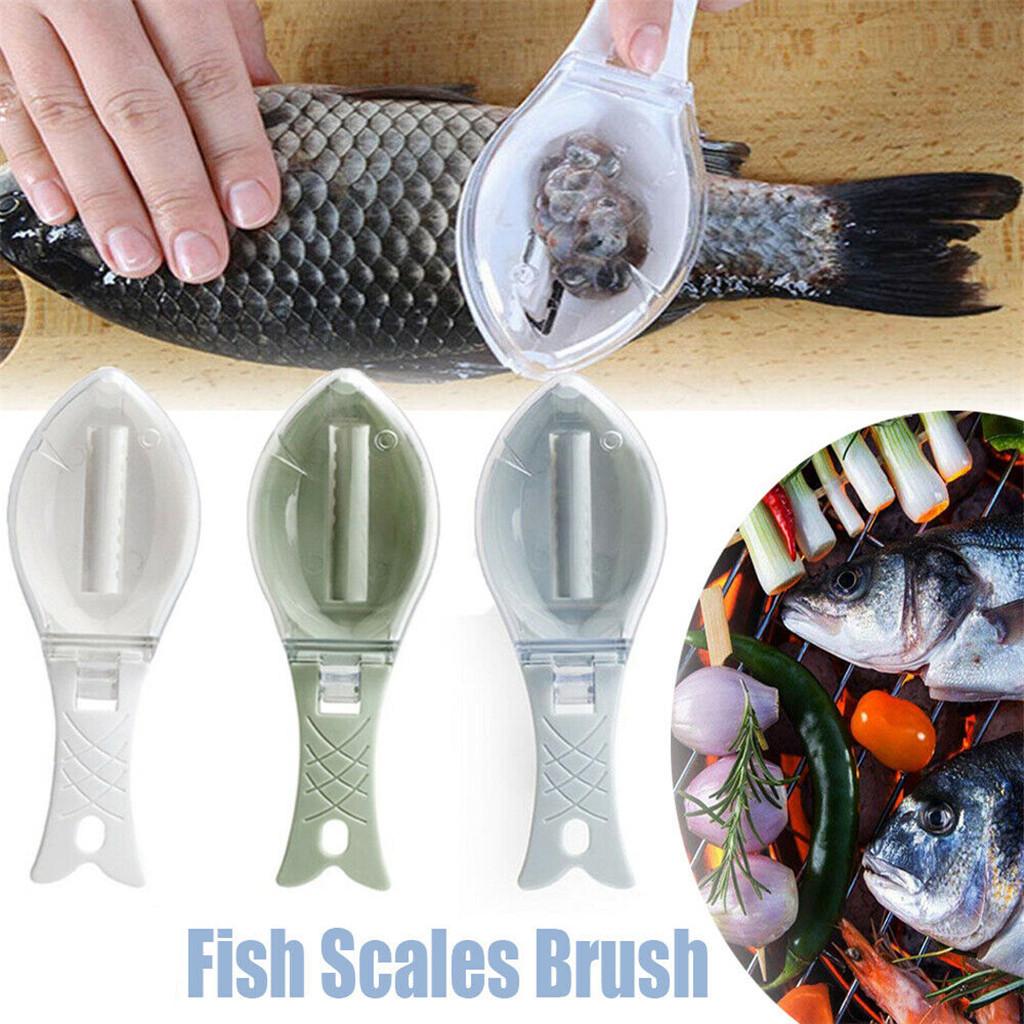 Fish Scale Remover